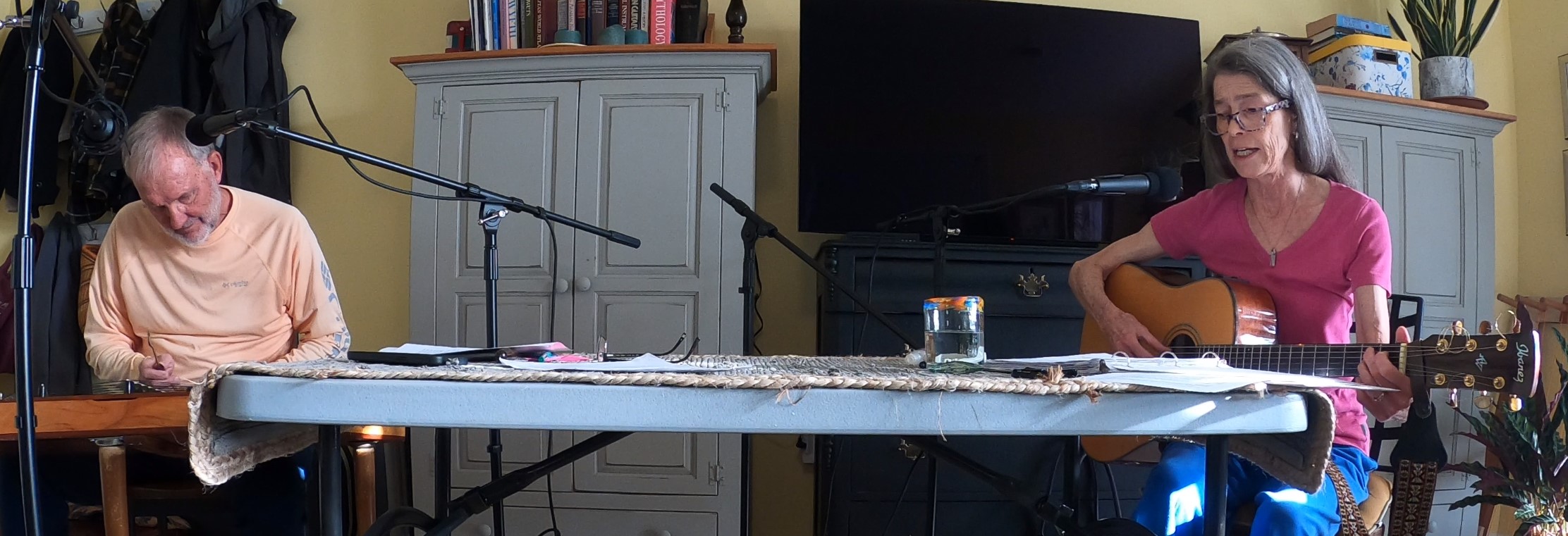 Tom Jolin on hammer dulcimer and Julie Aha on guitar and vocals.